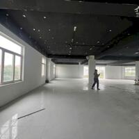 Cho thuê sàn Nguyễn Cơ Thạch, 310-390m², giá từ 130-140 triệu, hợp đồng dài hạn