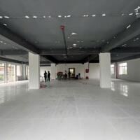 Cho thuê sàn Nguyễn Cơ Thạch, 310-390m², giá từ 130-140 triệu, hợp đồng dài hạn