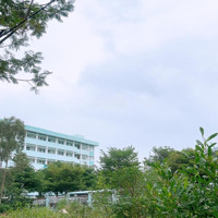 Bán Đất Nguyễn Đình Hiến, 5X24M, Đường 7M5 Ngay Làng Đại Học,Đối Diện Đại Học Y Dược, Giá Cực Tốt