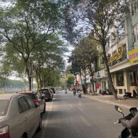 Mặt Phố Quan Hoa, Cầu Giấy _ 18.4Tỷ _ Căn Góc Mặt Tiền Rộng _ Kinh Doanh Đỉnh _ Liên Hệ: 0867484585