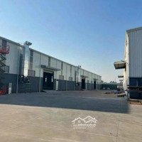 Chính Chủ Cho Thuê Nhà Xưởng 12.000M2 Tại Bầu Bàng Bình Dương.lh Anh Giáp 0798268268