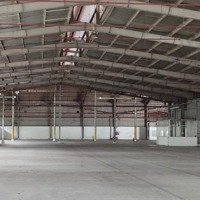 Chính Chủ Cho Thuê Nhà Xưởng 12.000M2 Tại Bầu Bàng Bình Dương.lh Anh Giáp 0798268268