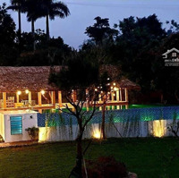 Mua Đất Tặng Homestay 4600M2 Thôn Muỗi-Yên Bài-Ba Vì-Hn