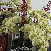 Hot Hot Siêu Hiếm Tại Lê Lợi, Hà Đông , Hà Nội, Giá Yêu Thương
