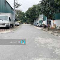 Chuyển Công Tác Bán 123,5M2 Đất 31Ha Trâu Quỳ, Gia Lâm. Yên Tĩnh Sạch Sẽ, Gần Nhà Văn Hóa, Sân Chơi