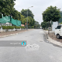 Chuyển Công Tác Bán 123,5M2 Đất 31Ha Trâu Quỳ, Gia Lâm. Yên Tĩnh Sạch Sẽ, Gần Nhà Văn Hóa, Sân Chơi