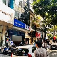 Bán Nhà Mặt Phố Số 44 Ngô Thì Nhậm Quận Hai Bà Trưng Thành Phố Hà Nội.diện Tích125M2 Xmặt Tiền5.5M X 6 Tầng