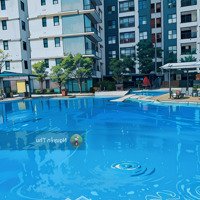 Ban Quản Lý Cập Nhật Quỹ Hàng Chung Cư The Zen Residence Chuyển Nhượng T12/2024