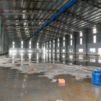 Cho Thuê Kho Xưởng Từ 2.000M2 Đến 20.000M- Trong Kcn Long An, Pháp Lý Hỗ Trợ Người Nước Ngoài