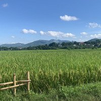 Bán 1Ha Đất Thổ Cư Bám Suối View Cánh Đồng Giá 8.X Tỷ