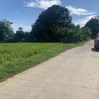 Bán 1Ha Đất Thổ Cư Bám Suối View Cánh Đồng Giá 8.X Tỷ