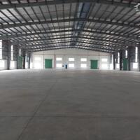 Cho Thuê 1.800m2 Kho Xưởng Ngoài KCN Mỹ Phước Bến Cát BD DT Đất 2.200m2