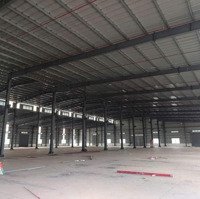 Cho Thuê Kho Xưởng Diện Tích 12.000M2, 24.000M2 Và 36.000M2. Trong Khu Công Nghiệp Bà Rịa, Vũng Tàu