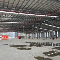 Cho Thuê Kho Xưởng Diện Tích 12.000M2, 24.000M2 Và 36.000M2. Trong Khu Công Nghiệp Bà Rịa, Vũng Tàu