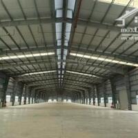 Cho thuê kho xưởng 5000m2 đường Võ Nguyên Giáp, Trảng Bom Đồng Nai