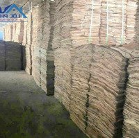 Bán Đất + Xưởng 9.600M2 Full Skc Tại Tx Đồng Xoài, Bình Phước 22 Tỷ