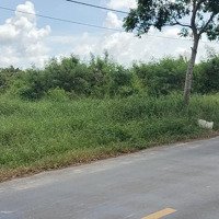 Bán Đất Quốc Lộ 1A, 3 Tỷ, 1277M2, P Láng Tròn, Giá Rai, Bạc Liêu