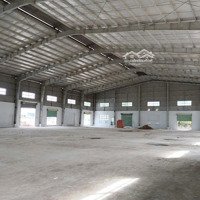 Thuê Kho Bãi Nhà Bè ,Diện Tích400M2 Có Tường Xây Kiên Cố Đẹp - Chuẩn