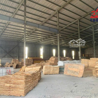 Cho Thuê Xưởng 2500M2 Bắc Sơn Trảng Bom . 44 * 55M Kết Cấu Xưởng : Cứng Cáp Mới , Đỉnh Cao 12M,