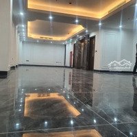 Mặt Ngõ Nguyễn Hoàng Phân Lô 120/135M2 Mặt Tiền 7M Giá Bán 80 Tỷ