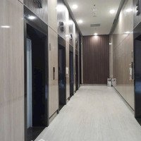 Cho Thuê Căn Hộ Officetel Lavida Plus, Nguyễn Văn Linh, Quận 7 Giá Bán 7,5 Triệu/Tháng