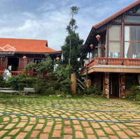 Homestay Giá Cực Sốc, View Cực Đẹp