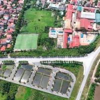 Bán Đất Đấu Giá - Hạ Mỗ - Đan Phượng Gần Vành Đai 4, Vin Đan Phượng