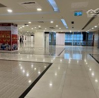 Cho Thuê Mặt Bằng Làm Văn Phòng, Tmdv, Showroom Tại Thành Phố Mới Bình Dương