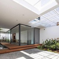 Ngang 8M X 20M - Full Nội Thất - Phong Cách Biophilic (Kết Nối Thiên Nhiên)