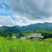 Nhỉnh 1 Tỷ Anh Chị Sở Hữu Ngay 3900M Đất Có 400 Thổ Cư. Lô Đất View Đèo Đá Trắng Liên Hệ: 0984952921