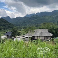 Nhỉnh 1 Tỷ Anh Chị Sở Hữu Ngay 3900M Đất Có 400 Thổ Cư. Lô Đất View Đèo Đá Trắng Liên Hệ: 0984952921