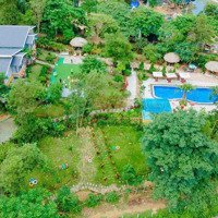 Cần Chuyển Nhượng Homestay 4000M2 Khai Thác 400 Triệu/Tháng Tại Vân Hòa, Ba Vì