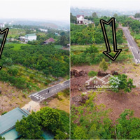 Đất Sào Lộc Đức, Cách Chợ Mới 400M. Đường Nhựa.diện Tích1000M2 Có 200M2 Thổ. (30,6M X 35,5M) Bán Lỗ