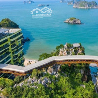 Bán Căn Hộ Nghỉ Dưỡng Flamingo Cat Ba Beach Resort, View Biển Tuyệt Đẹp, 69M, Giá Bán 5,2 Tỷ