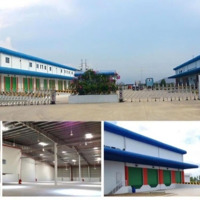 Cho Thuê 5200M2 , 8800M2 Đến 50.000M2 Kho Xưởng Trong Kcn Tại Hải Phòng