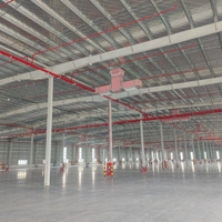 Cho Thuê 5200M2 , 8800M2 Đến 50.000M2 Kho Xưởng Trong Kcn Tại Hải Phòng