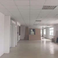 Cho Thuê Nhà Xưởng Cao Cấp Tại Khu Chế Xuất Tân Thuận, Quận 7, Tp. Hcm