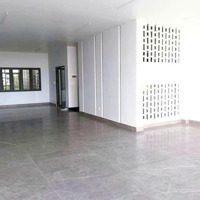 Chính Chủ Cho Thuê Mặt Tiền Trung Tâm Tp. Quy Nhơn, 540M2, Giá Cực Tốt