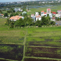 Bán Lô Đất View Lúa Cực Đẹp Cực Rẻ Mặt Tiền Đường Lớn Lê Thánh Tông, Hội An