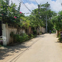 Bán Lô Đất 393M Sát Xanh Villas Top 1 Khu Đhqg Hoà Lạc- Giá Dầu Tư