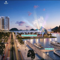 Hàng Hiếm Tại Bán Căn Hộ 1 Phòng Ngủ 1 Vệ Sinh 41M2, 2 Tỷ Ở Crystal Holidays Harbour Vân Đồn, Quảng Ninh