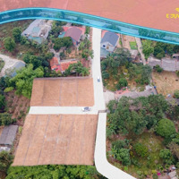 Hướng Đạo, Tam Dương, Vĩnh Phúc Gần 200M2 Chỉ Có Gần 1 Tỷ