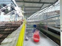 Bán Nhà Cấp 4 110M2 Hẻm Hà Thanh, Giá Hạt Dẻ Chỉ 8 Tỷ