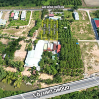 Bán 2000M2 Đất Xã Suối Cát, Cam Lâm , Tỉnh Khánh Hoà Sổ Hồng Giá Bán 2, 5 Triệu/M2 Lh; 0869.111.292