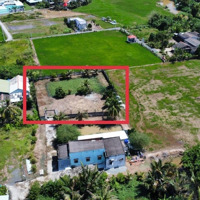 Đất Vườn 1.000M2 Đã Xây Hàng Rào, Ao Cá Và Ít Cây Trái, Giá Cực Tốt Cho Khách Mua Nhanh