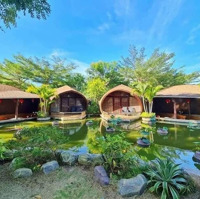 Bán Resort Cồn Khương. Vị Trí 3 Mặt Tiền View Sông Hậu, Ninh Kiều, Cần Thơdiện Tích9755M2- Giá Bán 330 Tỷ