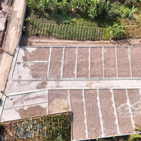 Bán Đất Chính Chủ Tại Hợp Thanh, Mỹ Đức, Hà Nội Giá Chỉ 620 Triệu, 42.1M Cơ Hội Vàng Sở Hữu Ngay!