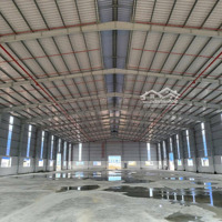 Cho Thuê 15.000M2 Xưởng Mới Xây Tân Uyên , Đường Cont , Pccc Tự Động , Giấy Tờ Đầy Đủ