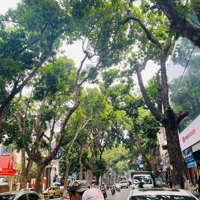 Bán Nhà Phố Lò Đúc Hoàn Kiếm Hai Bà Trưng 70M2 4 Tầng Giá Bán 14,2 Tỷ Cách Phố 10M Thiết Kế Sang Trọng