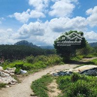 3050M2 Có Sẵn 400M2 Xd, Tại Xuân Thọ- Đà Lạt, Gần Ql, View Rừng Thông. Giá Giảm Từ 22 Tỷ Về 18.2 Tỷ
